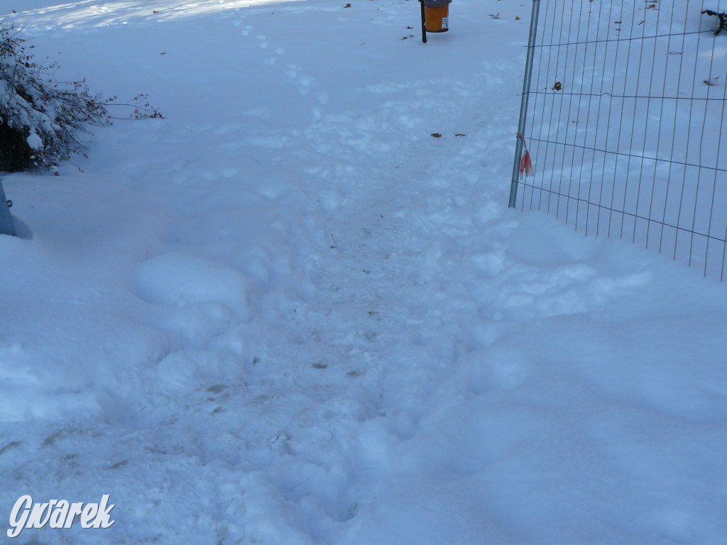 Tarnowskie Góry. Jak oceniacie akcję zima?