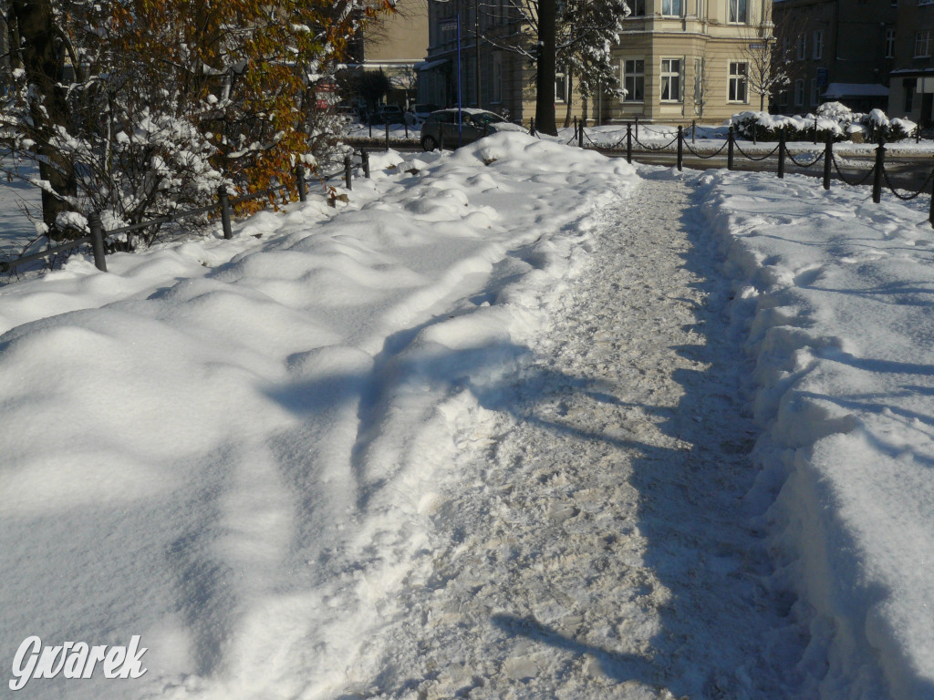 Tarnowskie Góry. Jak oceniacie akcję zima?