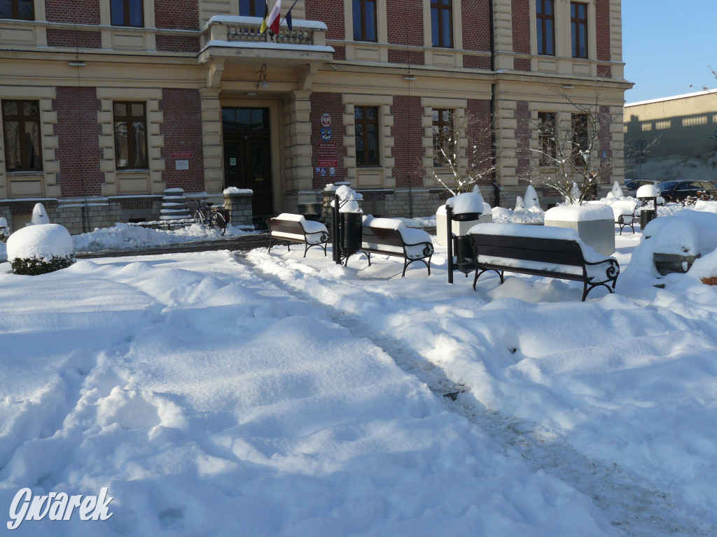 Tarnowskie Góry. Jak oceniacie akcję zima?