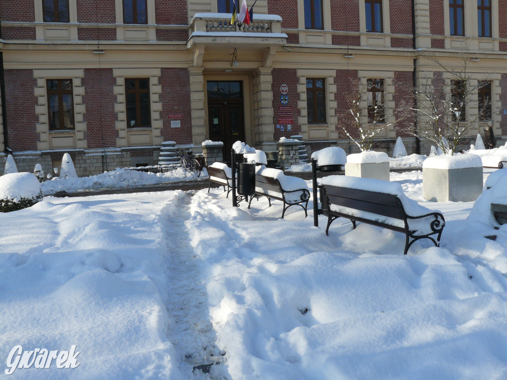 Tarnowskie Góry. Jak oceniacie akcję zima?