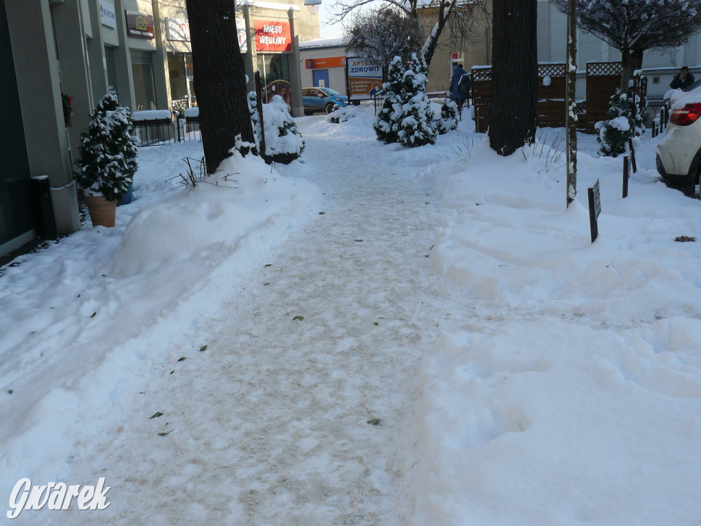 Tarnowskie Góry. Jak oceniacie akcję zima?