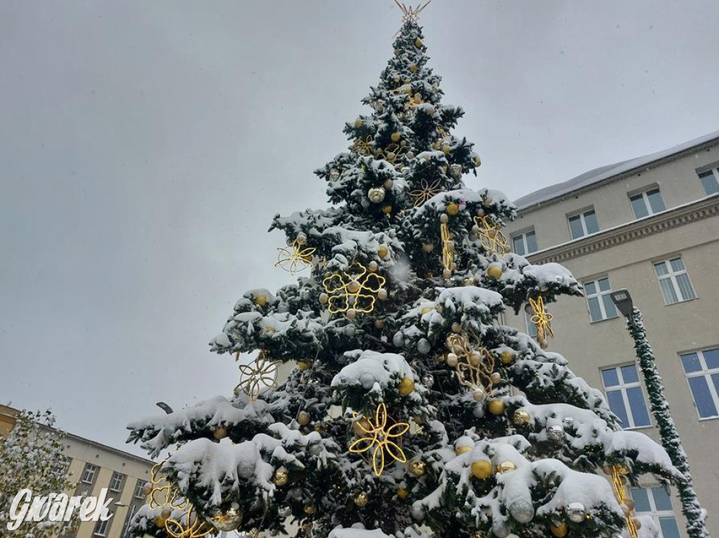 Po sąsiedzku. Parada Mikołajów i festiwal czekolady