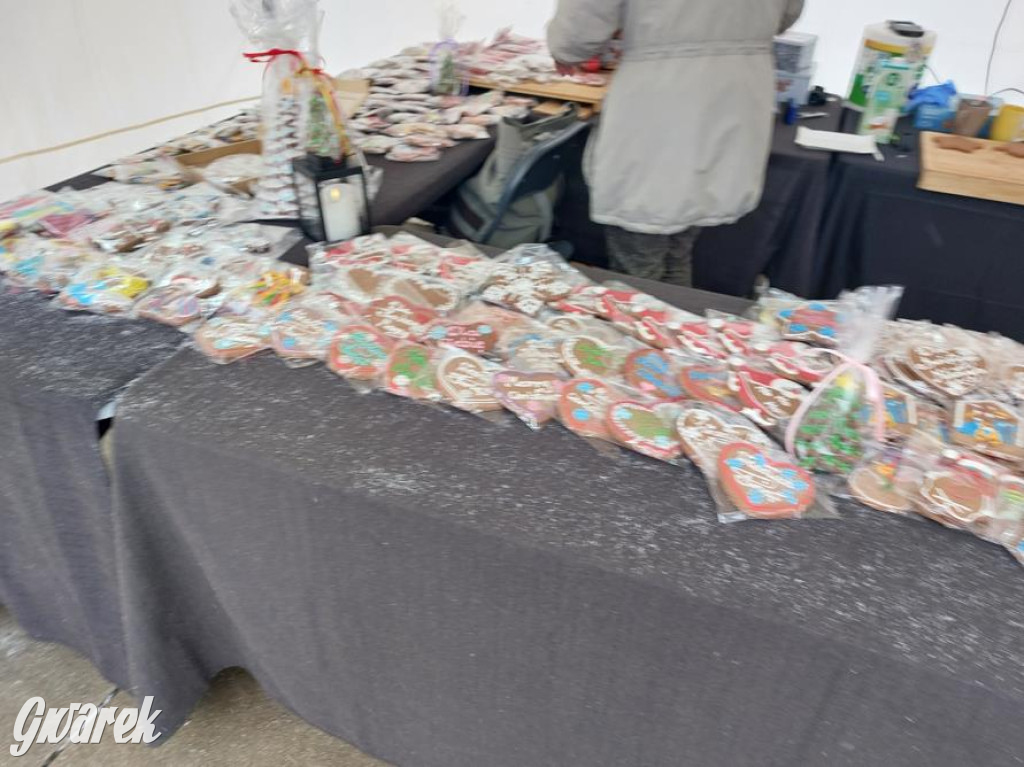 Po sąsiedzku. Parada Mikołajów i festiwal czekolady