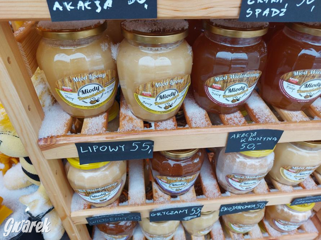 Po sąsiedzku. Parada Mikołajów i festiwal czekolady