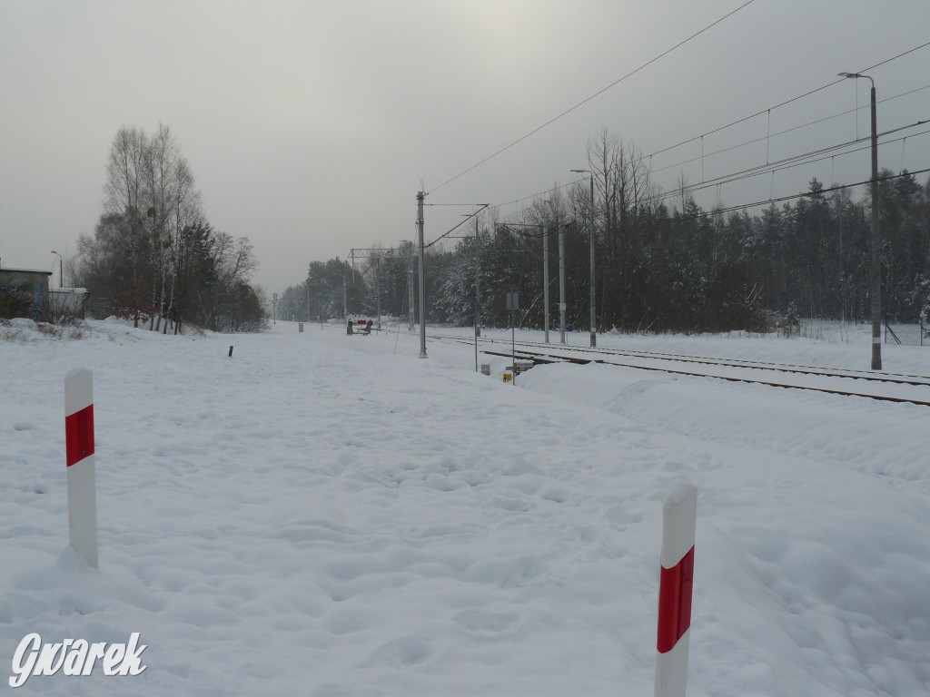 Ruszają pociągi na lotnisko. Ceny biletów [FOTO]