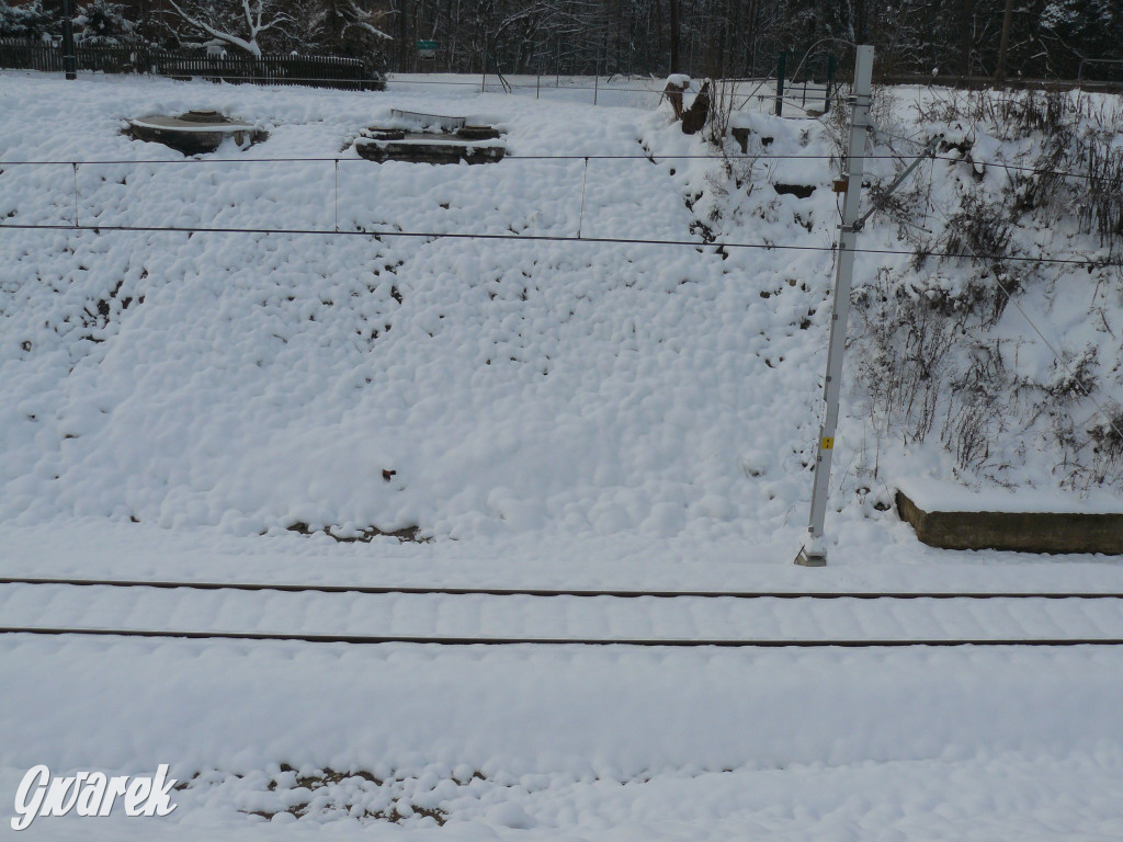 Ruszają pociągi na lotnisko. Ceny biletów [FOTO]