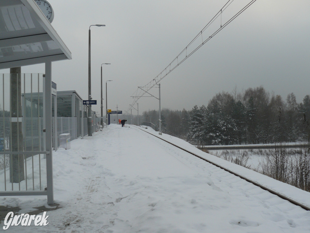 Ruszają pociągi na lotnisko. Ceny biletów [FOTO]