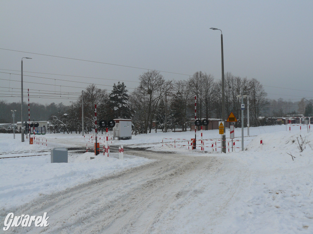 Ruszają pociągi na lotnisko. Ceny biletów [FOTO]