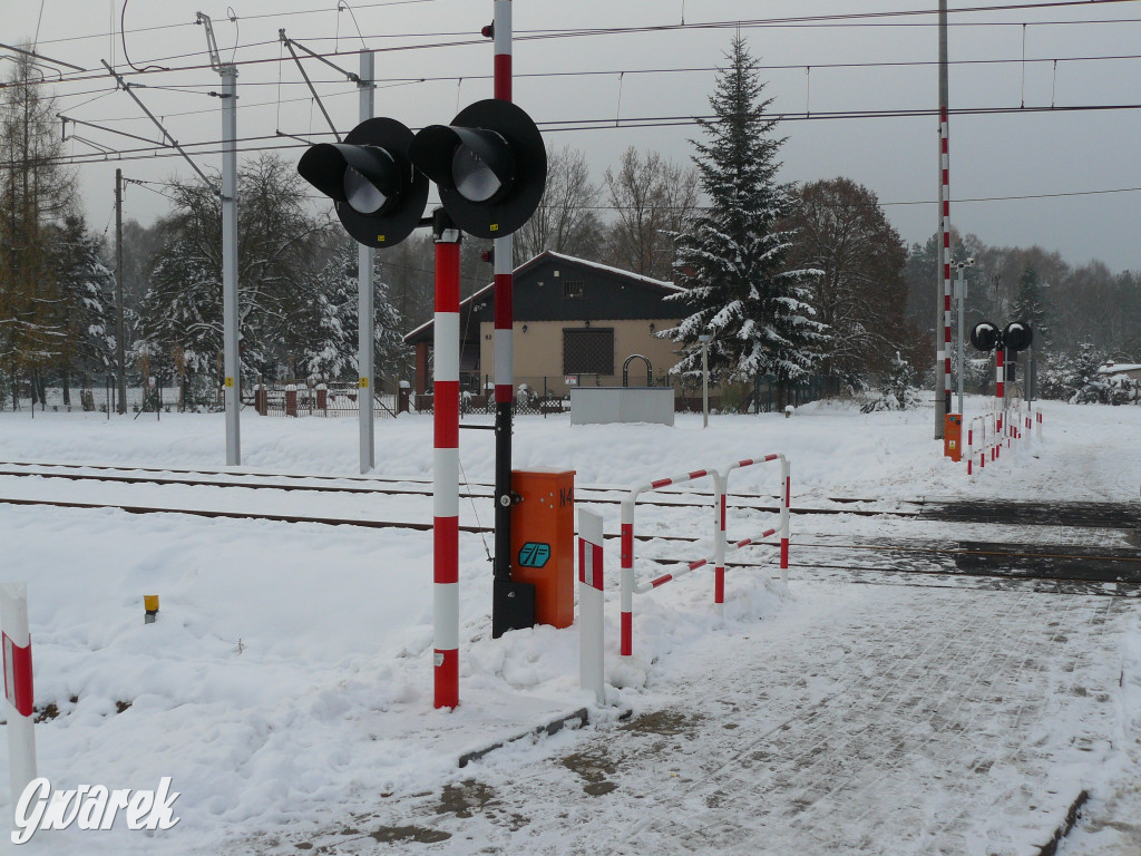 Ruszają pociągi na lotnisko. Ceny biletów [FOTO]