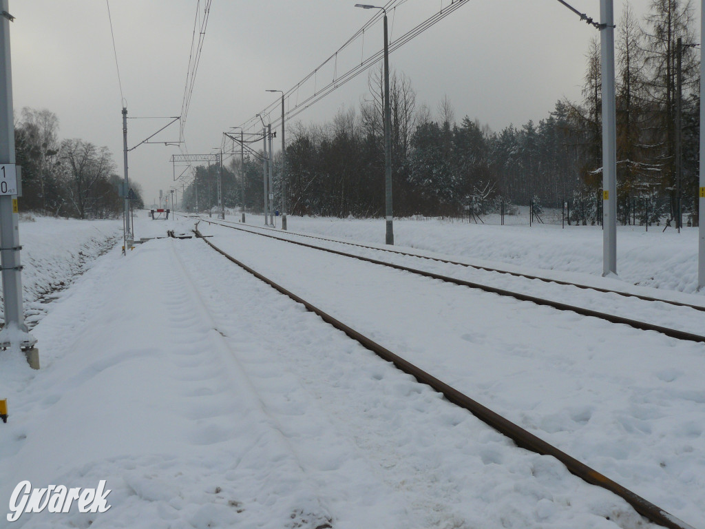 Ruszają pociągi na lotnisko. Ceny biletów [FOTO]