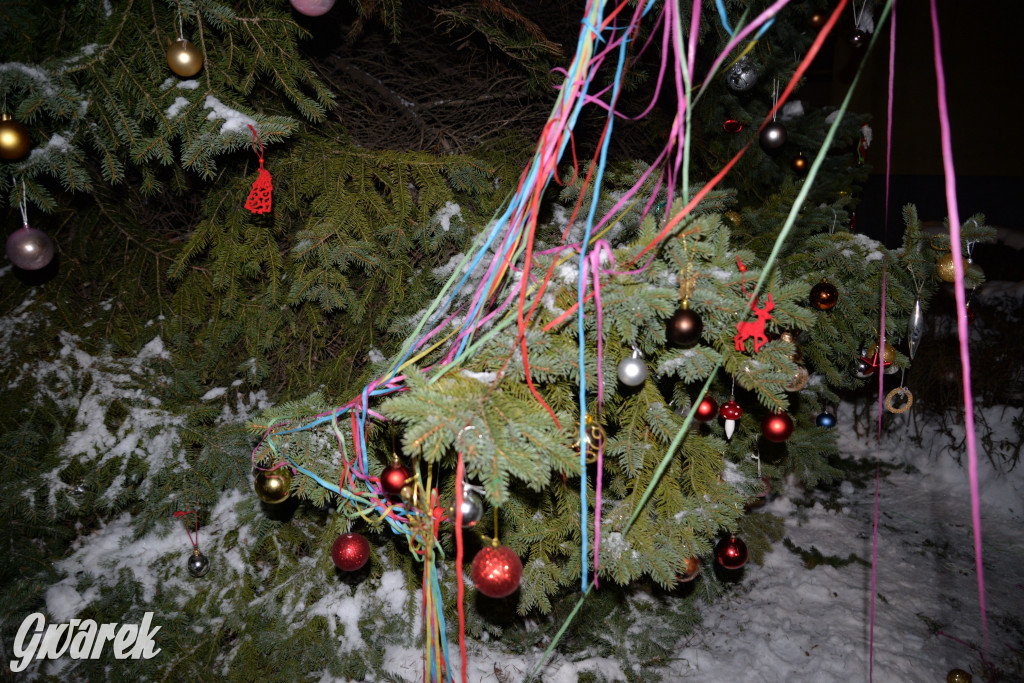 Strojenie choinki w Strzybnicy [ZDJĘCIA]