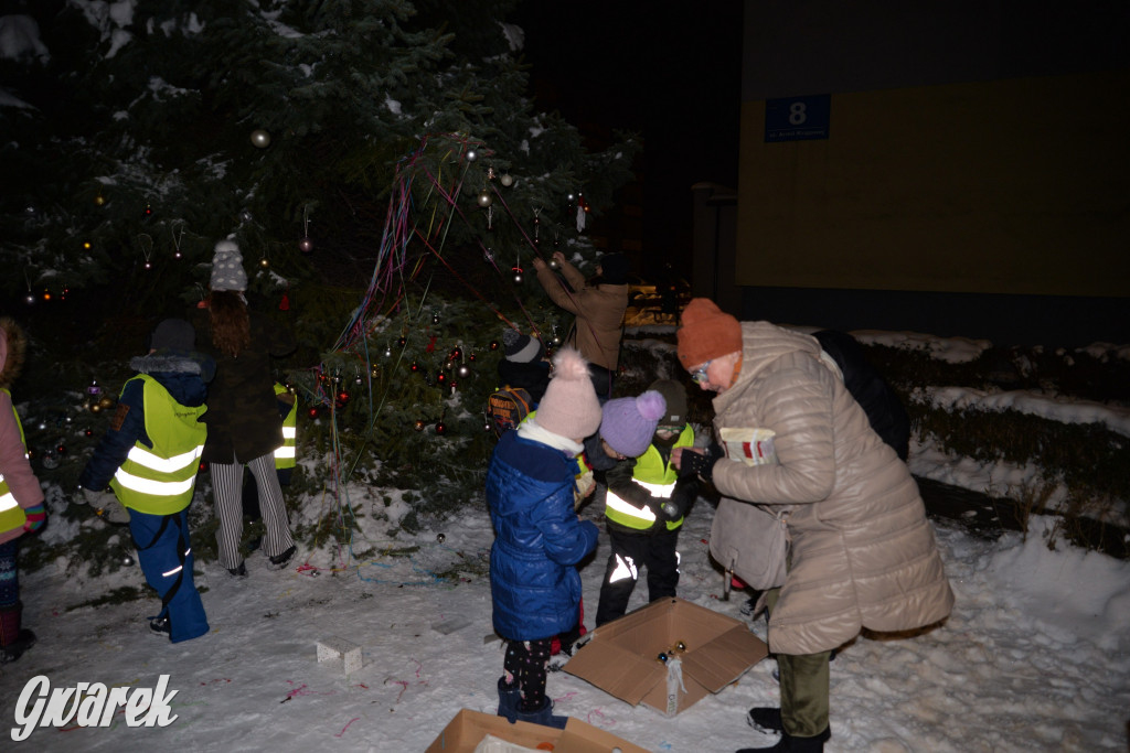 Strojenie choinki w Strzybnicy [ZDJĘCIA]