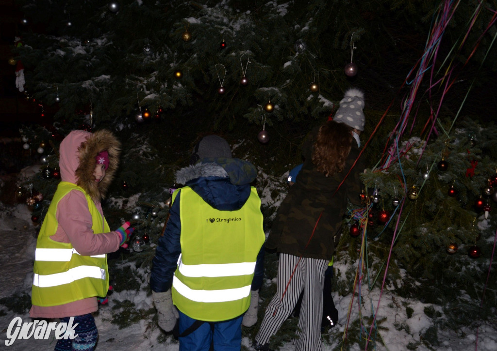 Strojenie choinki w Strzybnicy [ZDJĘCIA]
