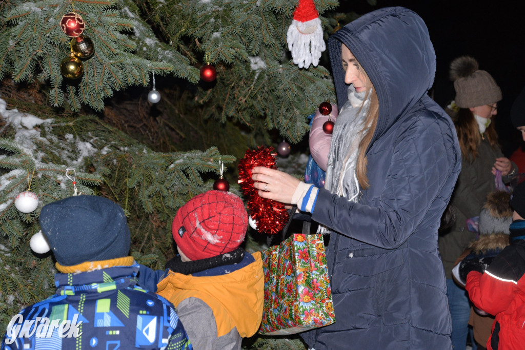 Strojenie choinki w Strzybnicy [ZDJĘCIA]