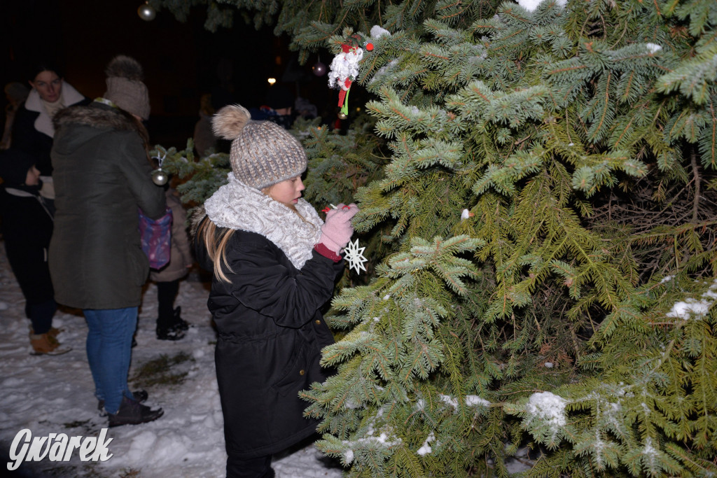 Strojenie choinki w Strzybnicy [ZDJĘCIA]