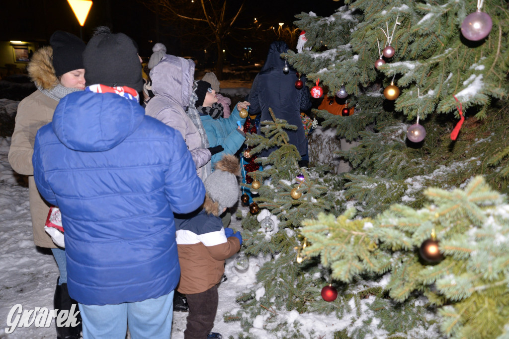 Strojenie choinki w Strzybnicy [ZDJĘCIA]