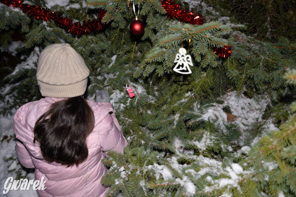 Strojenie choinki w Strzybnicy [ZDJĘCIA]