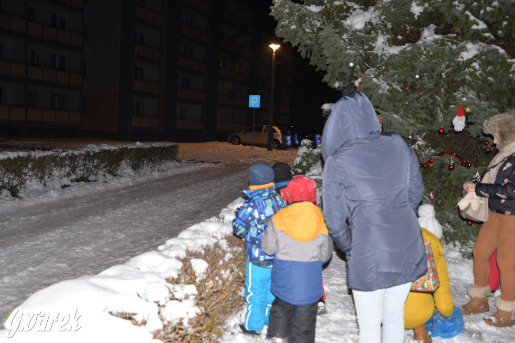Strojenie choinki w Strzybnicy [ZDJĘCIA]