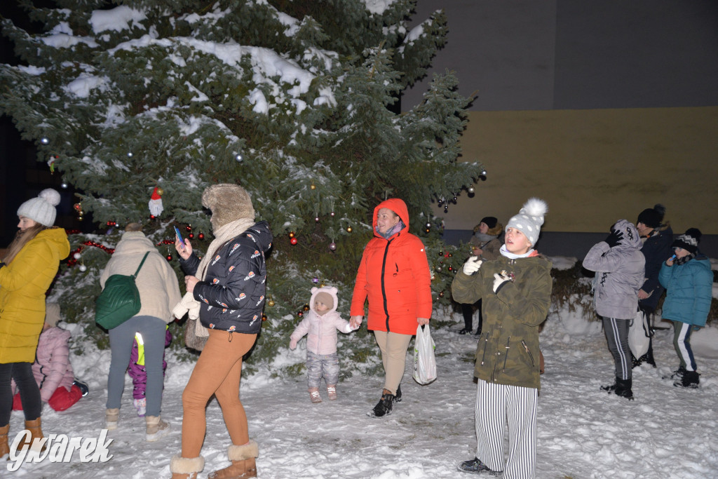 Strojenie choinki w Strzybnicy [ZDJĘCIA]