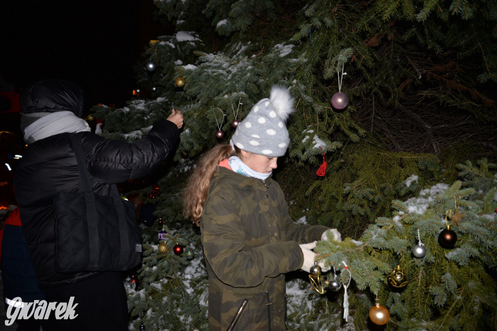 Strojenie choinki w Strzybnicy [ZDJĘCIA]