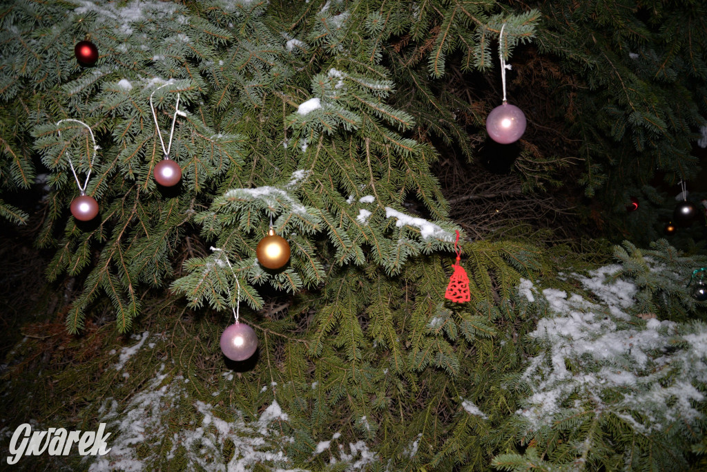 Strojenie choinki w Strzybnicy [ZDJĘCIA]