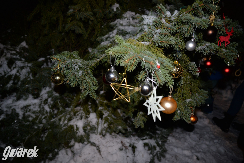 Strojenie choinki w Strzybnicy [ZDJĘCIA]