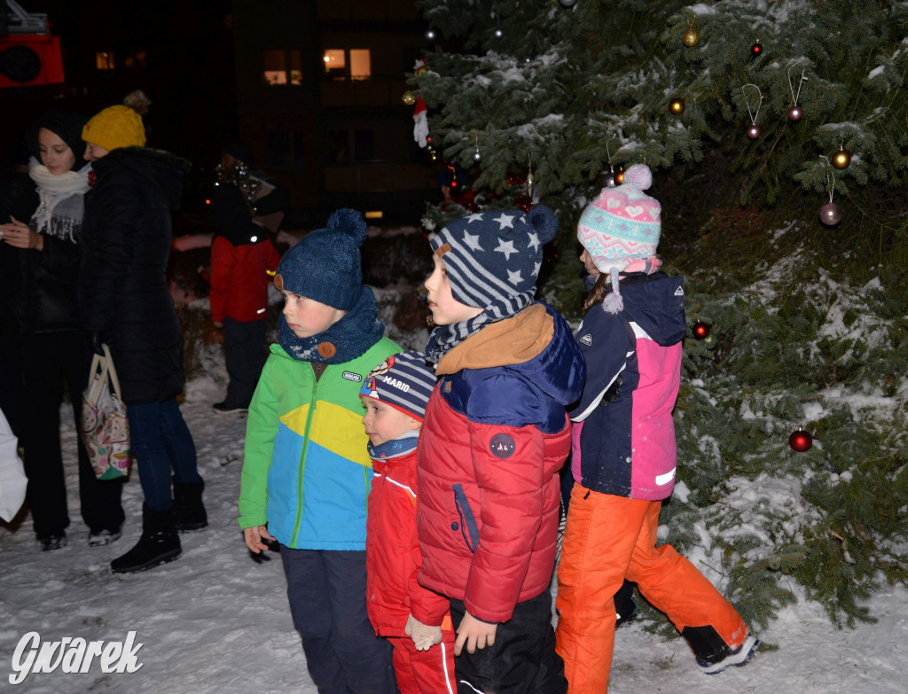 Strojenie choinki w Strzybnicy [ZDJĘCIA]