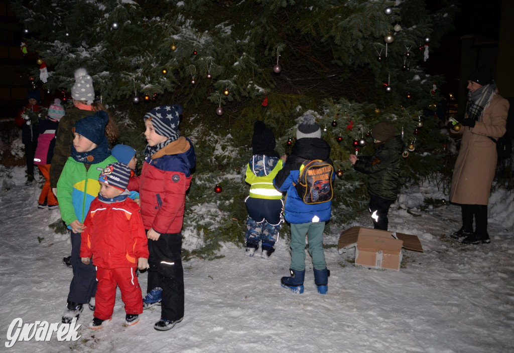 Strojenie choinki w Strzybnicy [ZDJĘCIA]