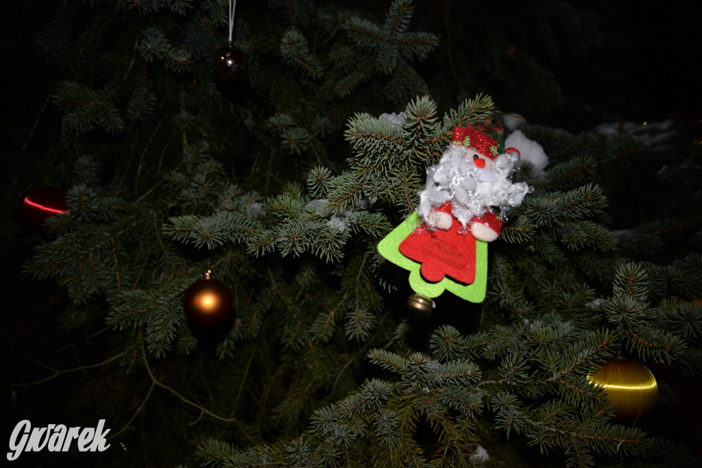 Strojenie choinki w Strzybnicy [ZDJĘCIA]