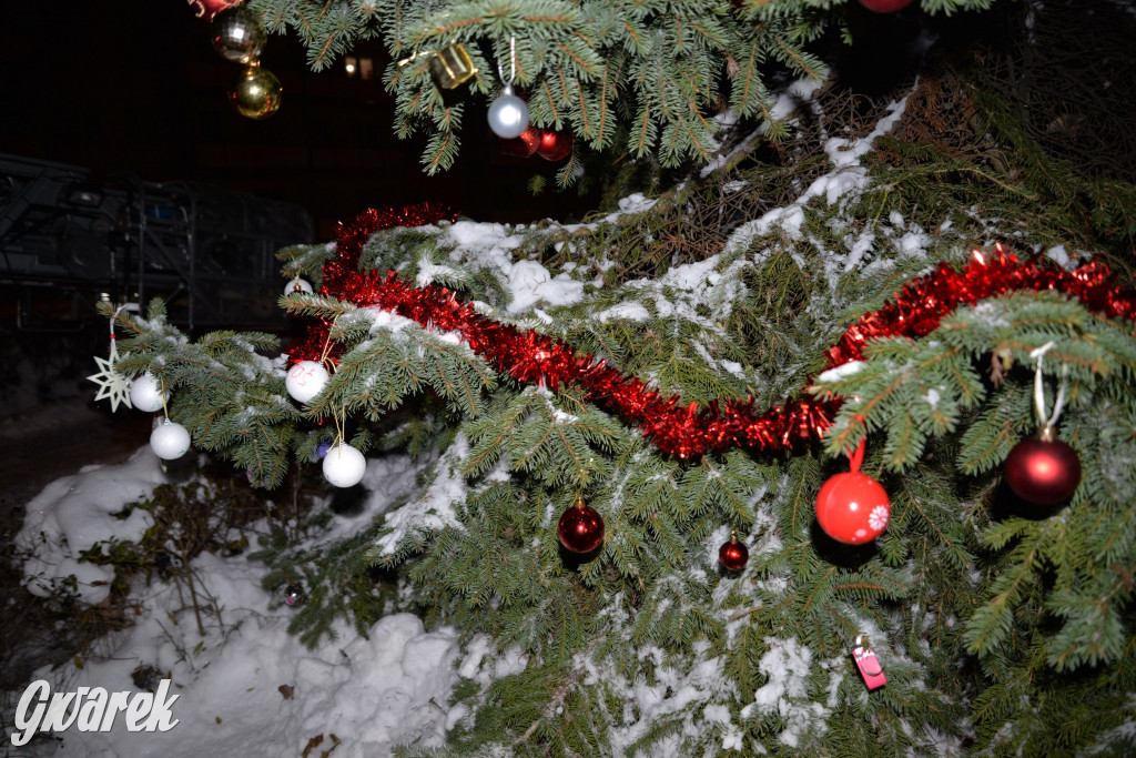 Strojenie choinki w Strzybnicy [ZDJĘCIA]