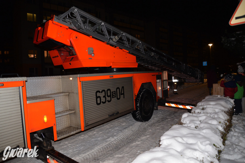 Strojenie choinki w Strzybnicy [ZDJĘCIA]