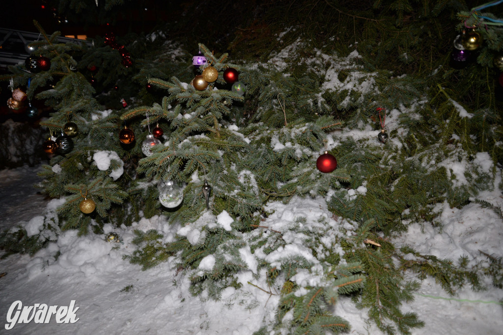 Strojenie choinki w Strzybnicy [ZDJĘCIA]