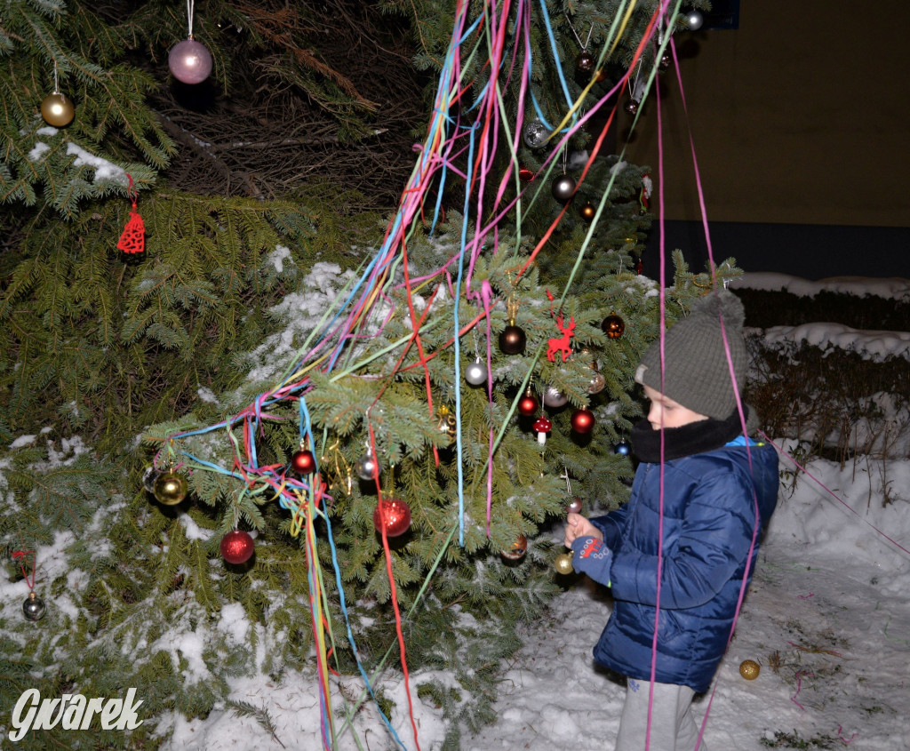 Strojenie choinki w Strzybnicy [ZDJĘCIA]
