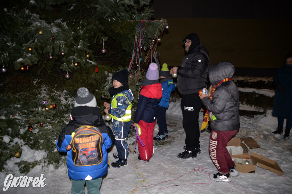 Strojenie choinki w Strzybnicy [ZDJĘCIA]