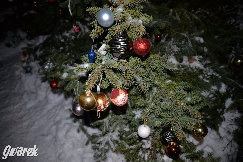 Strojenie choinki w Strzybnicy [ZDJĘCIA]