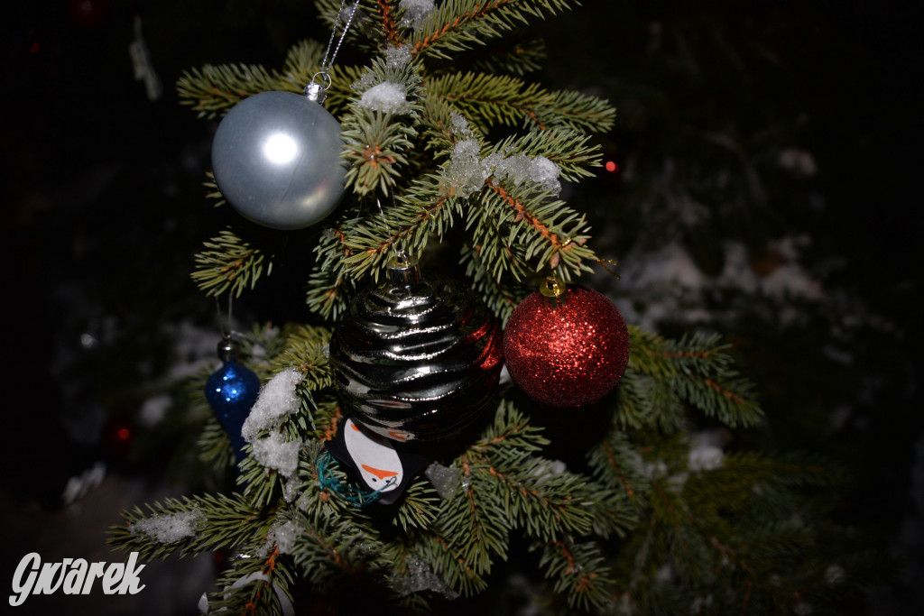 Strojenie choinki w Strzybnicy [ZDJĘCIA]