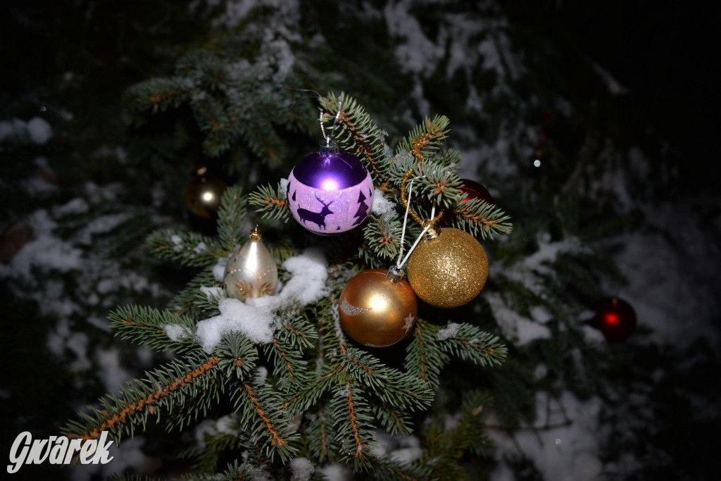 Strojenie choinki w Strzybnicy [ZDJĘCIA]