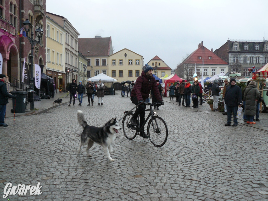 Tarnogórski Jarmark Bożonarodzeniowy. Dzień drugi