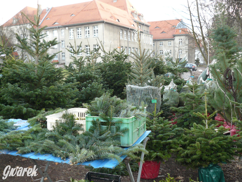 Tarnowskie Góry. Na targowisku przed świętami [FOTO]