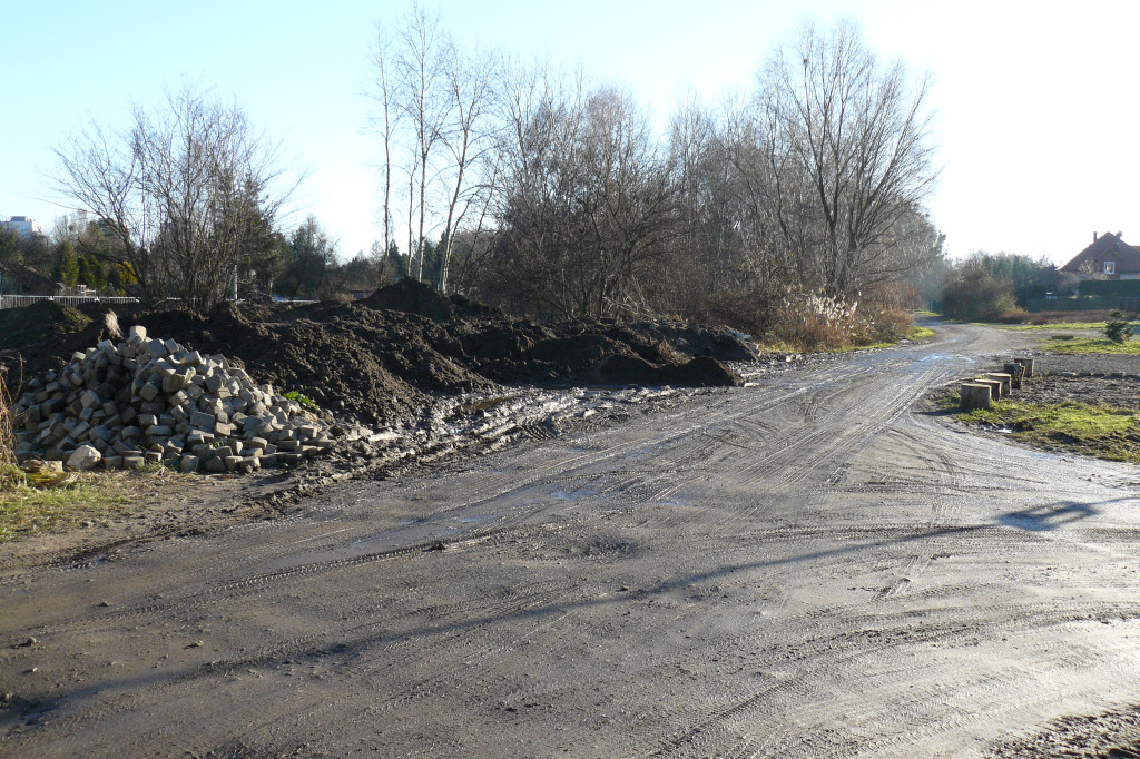 Tarnowskie Góry. Bałagan przy ul. Piestraka