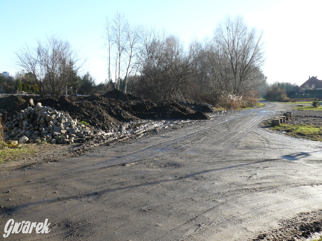 Tarnowskie Góry. Bałagan przy ul. Piestraka