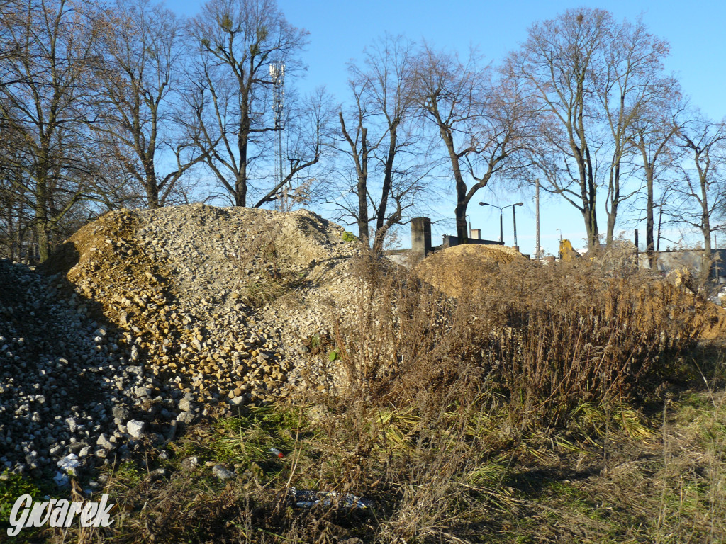 Tarnowskie Góry. Bałagan przy ul. Piestraka