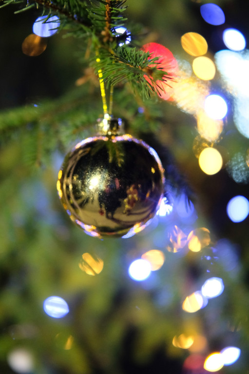 Sołtys zaprosił na strojenie choinki [FOTO]