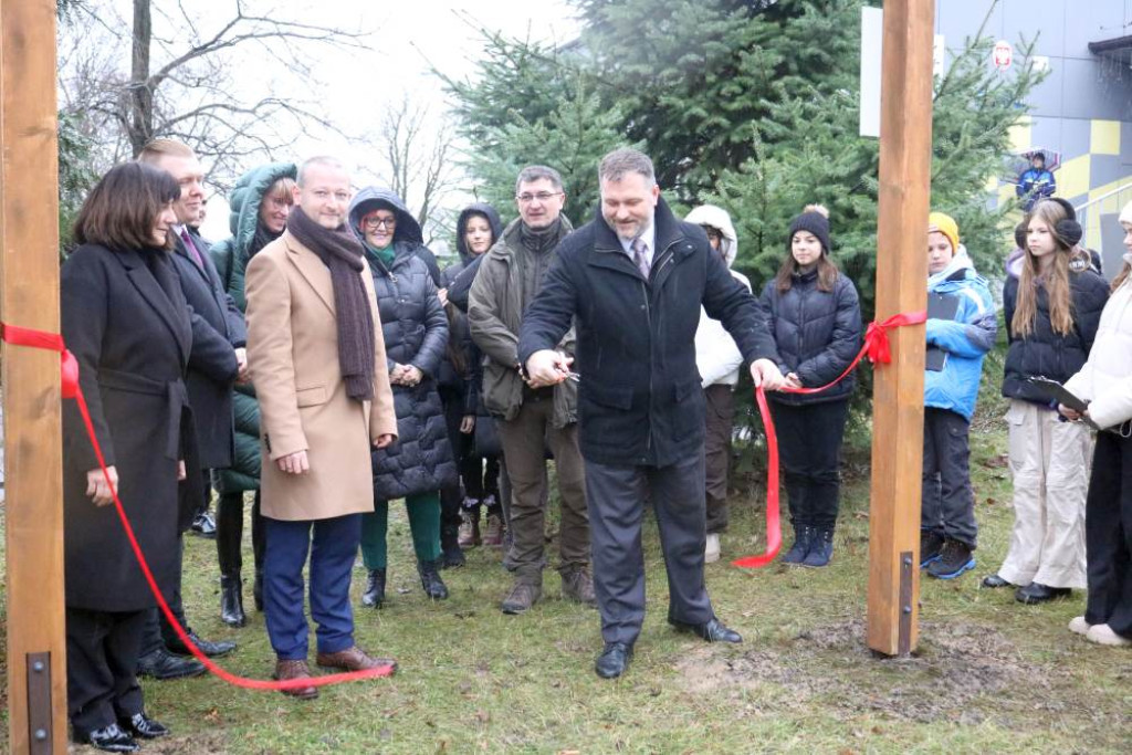 Zaczarowany Las Jedenastki już otwarty