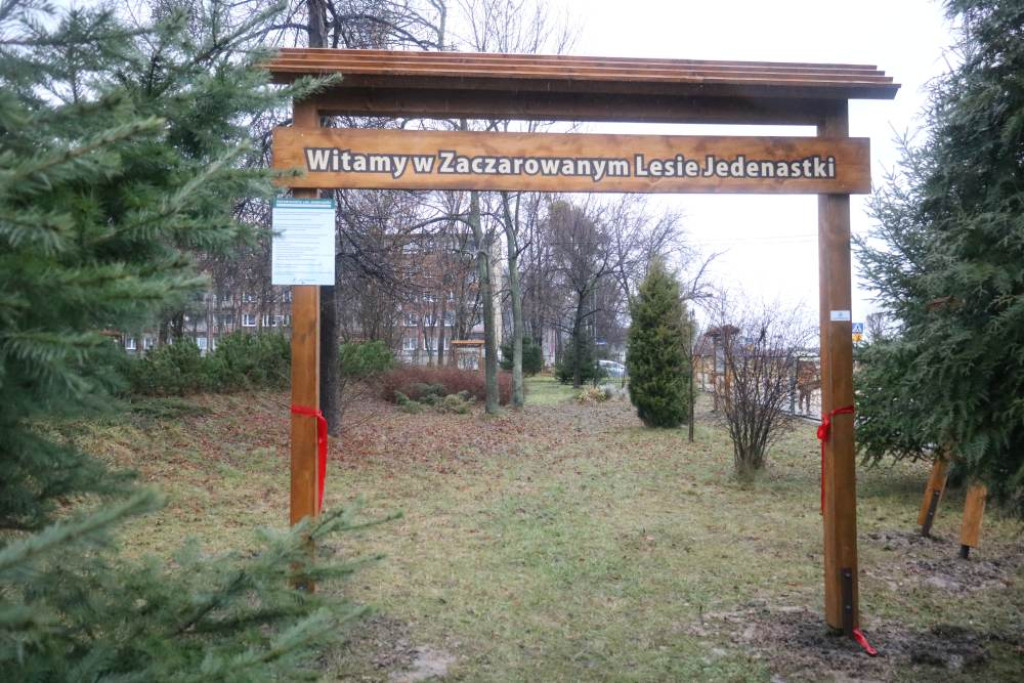 Zaczarowany Las Jedenastki już otwarty