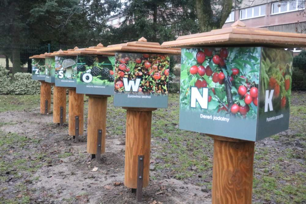 Zaczarowany Las Jedenastki już otwarty