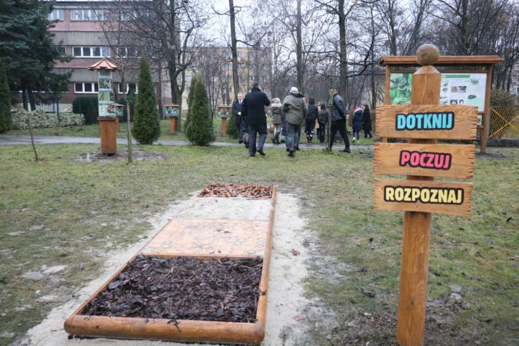 Zaczarowany Las Jedenastki już otwarty