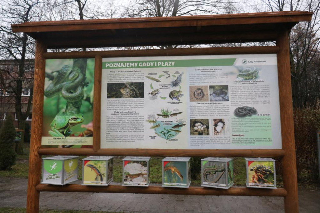 Zaczarowany Las Jedenastki już otwarty