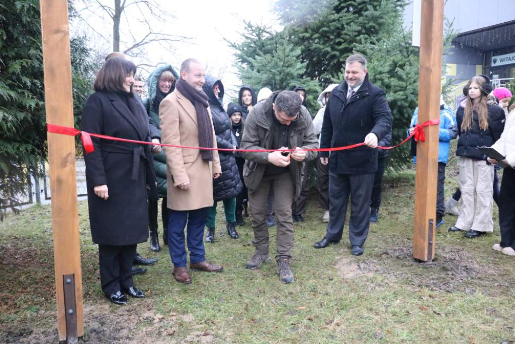 Zaczarowany Las Jedenastki już otwarty