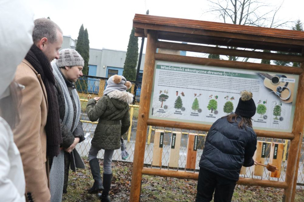 Zaczarowany Las Jedenastki już otwarty